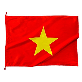 Mua Cờ Việt Nam 70X100cm phi mờ