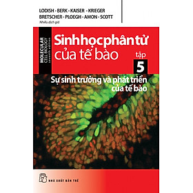 [Download Sách] Sinh Học Phân Tử Của Tế Bào Tập 5: Sự Sinh Trưởng Và Phát Triển Của Tế Bào