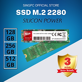 SSD Silicon Power M.2 2280 SATA A55 256GB - Hàng chính hãng