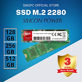 Mua SSD Silicon Power M.2 2280 SATA A55 512GB - Hàng chính hãng