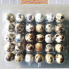 Trứng cút tươi vỉ 30 trứng
