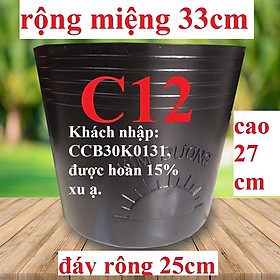 Mua (Bít lỗ  không lỗ) Combo 30 cái chậu bít lỗ hiệu Kim Dương