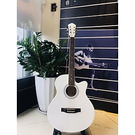 Mua Đàn Guitar Acoustic Caravan Music HS4010WH