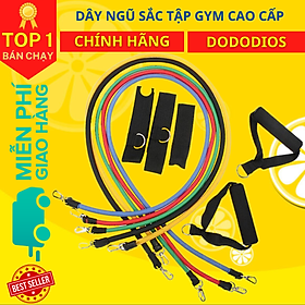 Dây Ngũ Sắc Tập Gym dododios, Bộ 5 Dây Đàn Hồi Kháng Lực Tập Full Body, Dụng Cụ Tập Thể Hình Tại Nhà Đa Năng