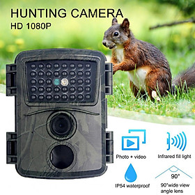 Camera 12MP Trail 1080p HD HUNTING CAM PIR IR Night Vision IP54 Máy ảnh săn bắn trường không thấm nước Động vật hoang dã Máy ảnh ngoài trời