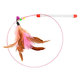 Cần Câu Mèo Dây Sắt Kún Miu