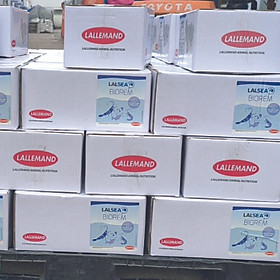 Vi sinh xử lý nước ao nuôi thủy sản LALSEA BIOREM (Nhập khẩu)