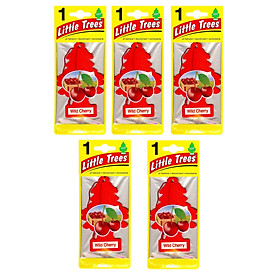 Combo 5 cây thông thơm Little Trees Wild Cherry