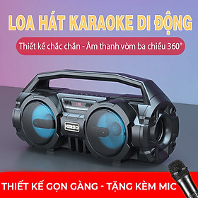 Loa hát Karaoke di động Bluetooth, âm thanh vòm 3 chiều cực đã- D1401