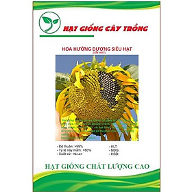 Mua Hạt giống hướng dương lấy hạt cao sản CT184 - Gói 20 hạt