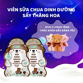 Sữa Chua Sấy Thăng Hoa IYaua Gấu Hạt Nút Vị CHOCO CHIPS Túi 16G