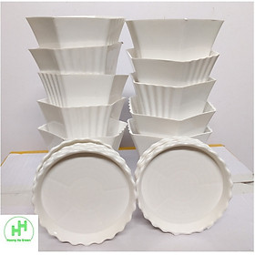 10 Combo Chậu nhựa Lục giác Sen đá 100x80x60 + đĩa lót chậu 85x10 , trồng cây mini, xương rồng, cây để bàn, sen đá
