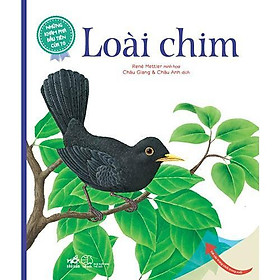 Những Khám Phá Đầu Tiên Của Tớ: Loài Chim -  Bản Quyền