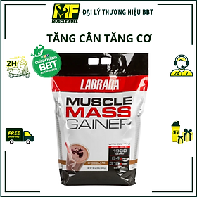 Hình ảnh Sữa hổ trợ tăng cân tăng cơ Muscle Mass Gainer Chocolate 5,4kg + tặng Bình lắc