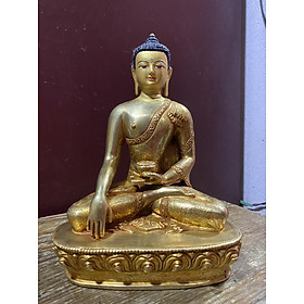Mua Phật Bổn Sư Thích Ca 