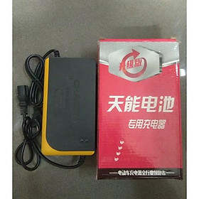 SẠC XE ĐẠP ĐIỆN 36/12 CHÂN VUÔNG