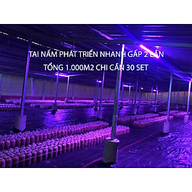 Mua Trồng Nấm Linh Chi Trong Nhà bằng Đèn Quang Hợp Smart Light dài 1.2m giúp cây nấm phát triển tốt và rút ngắn thời gian thu hoạch nấm