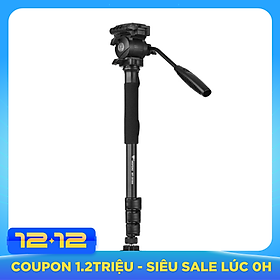 Monopod DV Weifeng 3958M - Hàng Nhập Khẩu