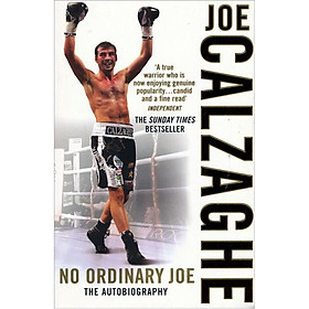 No Ordinary Joe