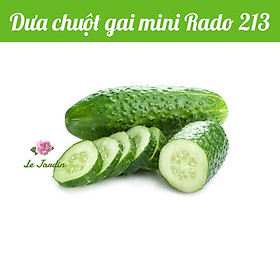Hạt giống Dưa Chuột gai mini RD213 gói 1gr