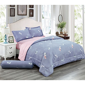 Bộ Drap NIN Calisto - Rosalina (Kèm mền)