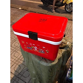 Mua Thùng phích đá 13L