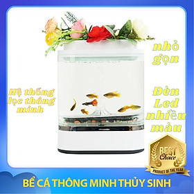 BỂ CÁ THỦY SINH, HỒ CÁ MINI ĐỂ BÀN
