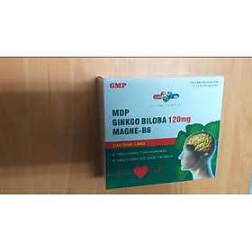 MDP - GINKGO BILOBA 120 Giúp tăng tuần hoàn máu não