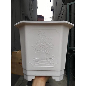 Chậu nhựa trắng cao cấp trồng cây và hoa size 27.5 x25cm cực bền để nắng mưa thoải mái