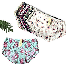 Combo 10 quần lót su đúc lanh hoa cao cấp ql03