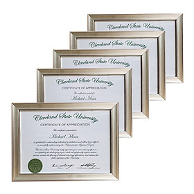 Combo 5 Khung Bằng Khen treo tường Đẹp Size A3, A4 - PGBK16CB