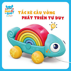 Đồ Chơi Tắc Kè Cầu Vồng Phát Triển Tư Duy Cho Bé PEEK A BOO PAB035
