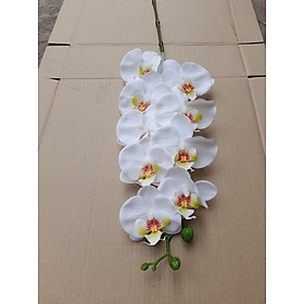 Mua Hoa lan hồ điệp chất liệu cao su (thân đốm) loại 7 bông- 9 bông cao cấp- Hoa giả