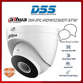 Mua Camera Dome IP Wifi 2MP có đàm thoại DAHUA DH-IPC-HDW1230DT-STW hàng chính hãng