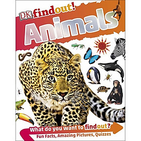 DKfindout! Animals