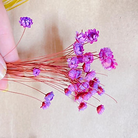 Mua Set 10 bông hoa tuyết nhiệt đới màu tuỳ chọn trang trí nhà cửa  văn phòng