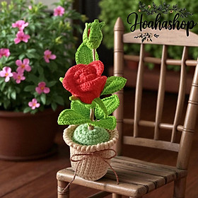 Mua Chậu hoa hồng mini handmade – điểm xinh cho góc làm việc