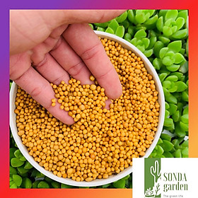 Mua PHÂN TAN CHẬM (100g)  TIỆN LỢI DÀNH CHO SEN ĐÁ XƯƠNG RỒNG