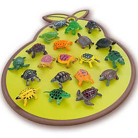 Bộ 20 mô hình Con Rùa 5.5 cm - đồ chơi động vật biển Nature Color Turtle