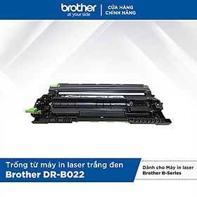 Drum Cho Máy HL-B-series Brother DR-B022 - Hàng Chính Hãng