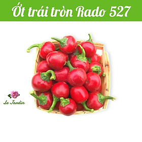 Hạt giống ớt trái tròn Rado 527 gói 0,2gr