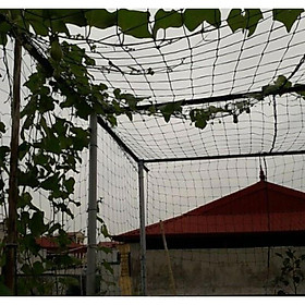 Lưới làm giàn trồng cây dây leo khổ rộng 4 mét dài tùy ý sợi lớn 2li - Lưới làm giàn