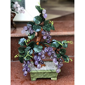 Mua Cây Nho Tài Lộc