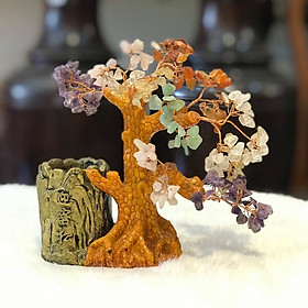 Mua Cây Tài Lộc Thạch Anh Ngũ Sắc Ống Bút