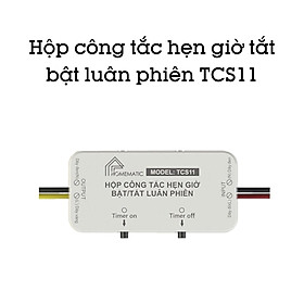 Mua Hộp Công Tắc Hẹn Giờ Tắt Bật Luân Phiên Homematic TCS11