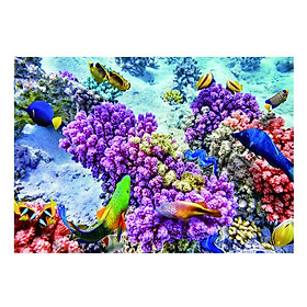 Mua Aquarium Background Eye Style Poster Fish Tank Wallpaper Decoration XS  - S tại Magideal2