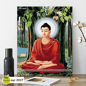 Mua Tranh tô màu 40x50cm có khung Đức Phật Thích Ca Mâu Ni T2017