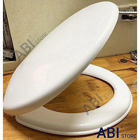 Mua Nắp bệt bồn cầu phổ thông  nắp đậy bàn cầu toilet dày đẹp giá rẻ  nắp bồn cầu rơi êm HA05