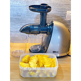 Mua Máy ép chậm Olivo SJ-22 (màu xám). Hàng chính hãng