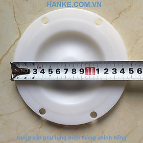 Màng Teflon QBY4-10-15TFLGM